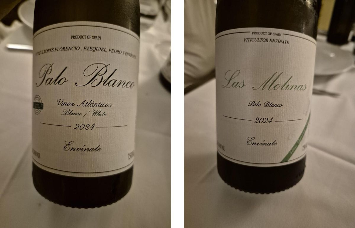 Vinos de Palo Blanco 2024 catados en el restaurante.