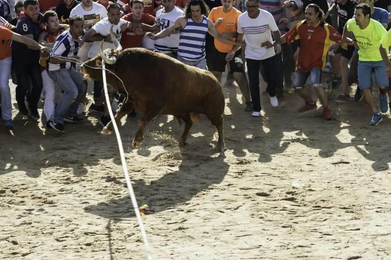 La carrera del Toro Enmaromado 2017 Razonador