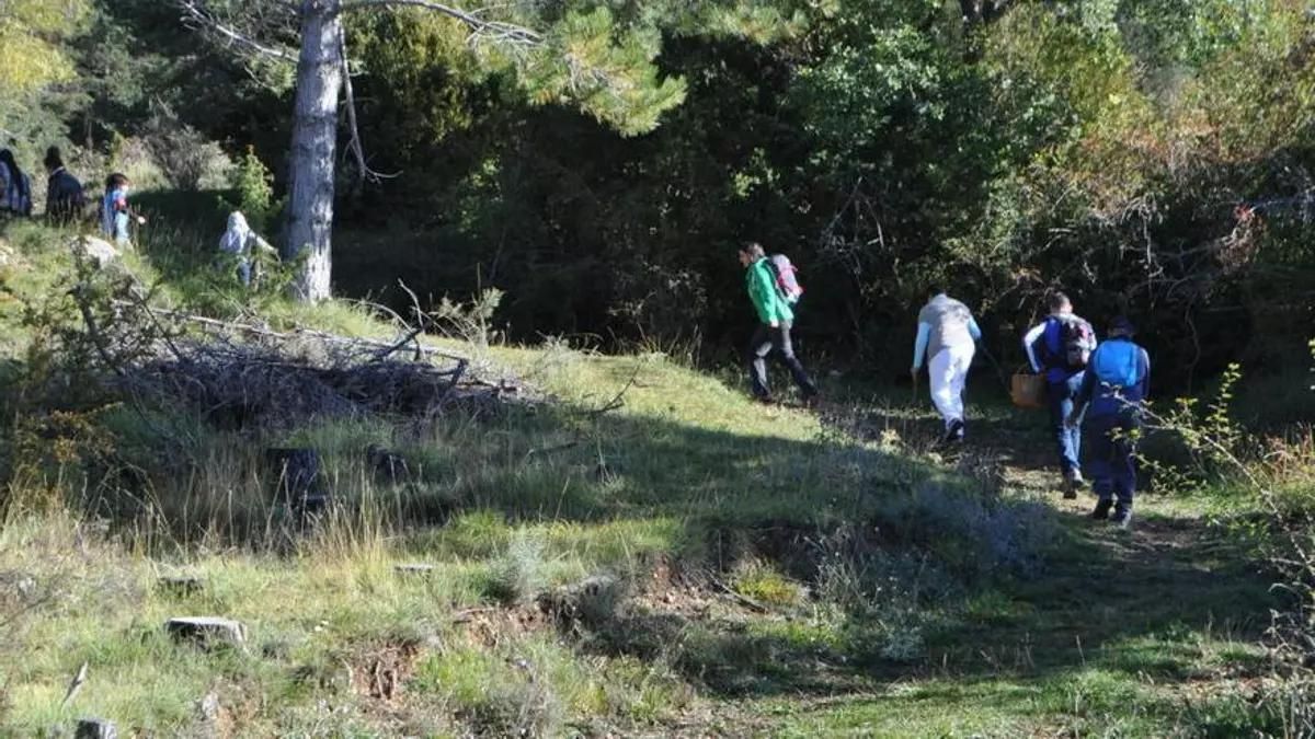 Excusionistes entrant al bosc
