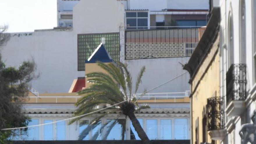 Una palmera se estrella contra un edificio en la Alameda de Colón