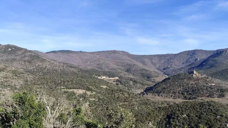 Requesens aposta per la silvicultura propera a la natura per millorar la resiliència dels boscos