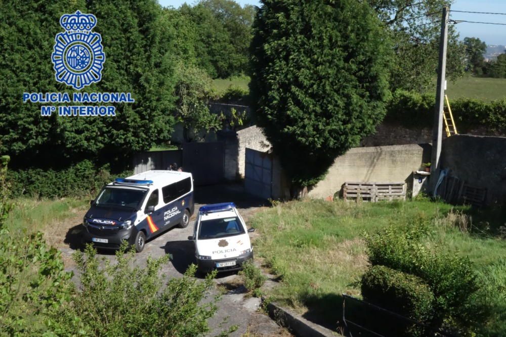 Plantación de marihuana en Mareo (Gijón)