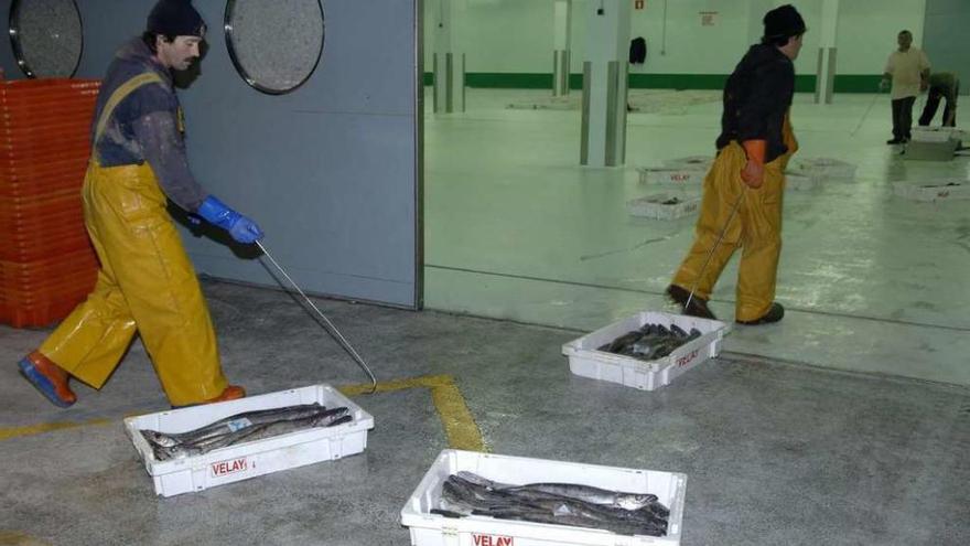 Dos operarios introducen cajas de merluza en la lonja de A Coruña.