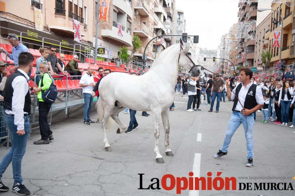 Caballos del Vino: Concurso morfológico (salida Pl