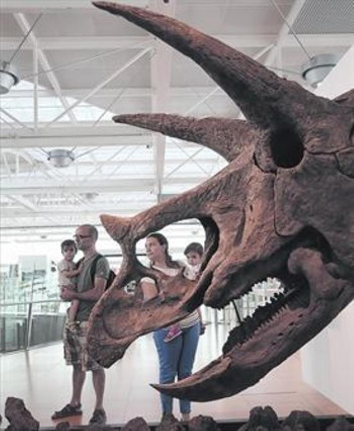 Una parella amb els seus fills, ahir, davant el cap d’una femella adulta de ’Triceratops’, que s’exhibeix al CosmoCaixa.