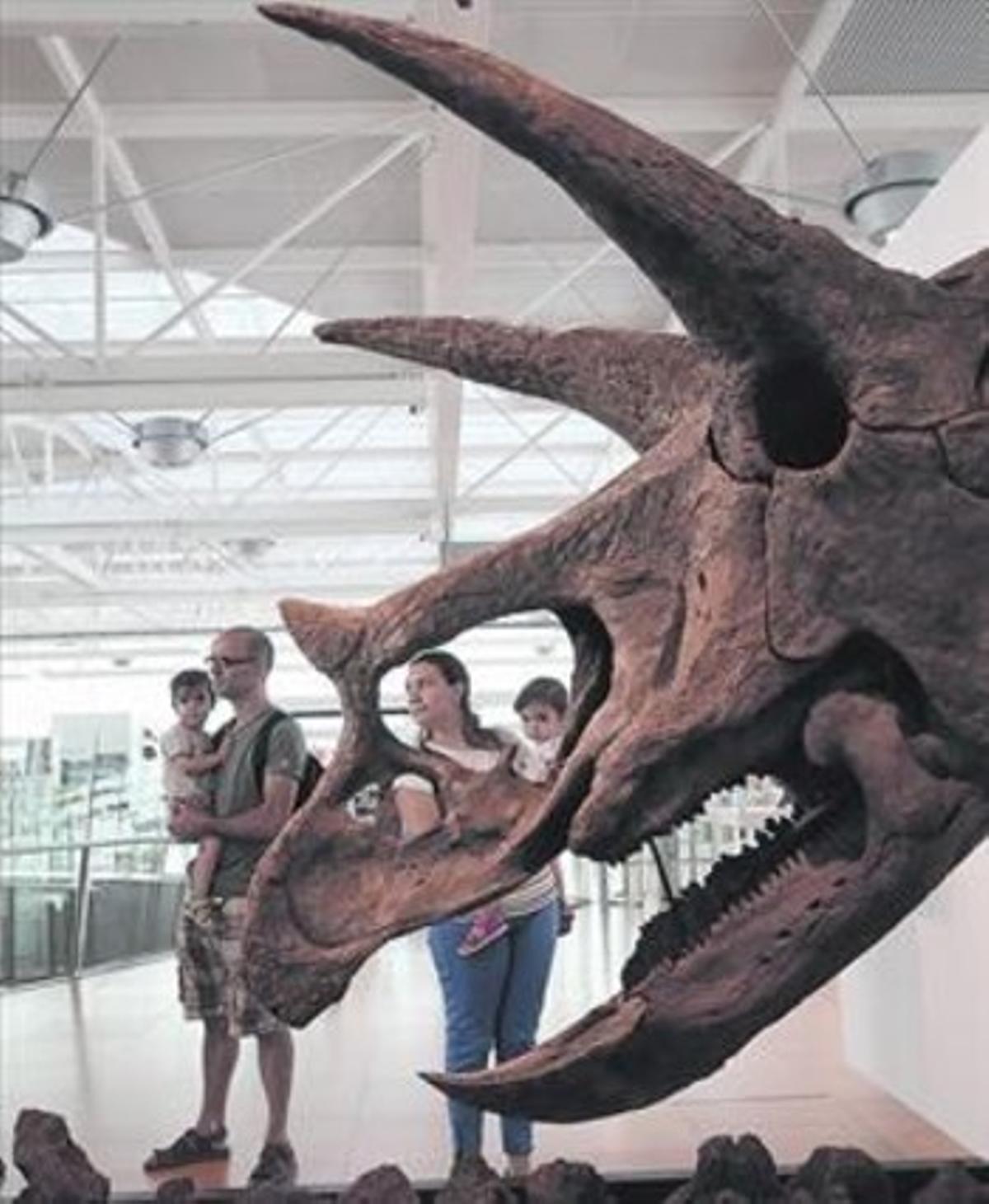 Una parella amb els seus fills, ahir, davant el cap d’una femella adulta de ’Triceratops’, que s’exhibeix al CosmoCaixa. Una parella amb els seus fills, ahir, davant el cap d’una femella adulta de ’Triceratops’, que s’exhibeix al CosmoCaixa.