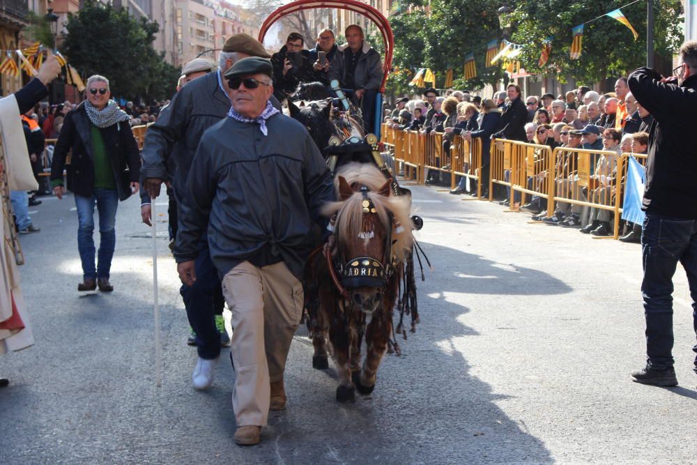 Fiesta de Sant Antoni en la ciudad de València