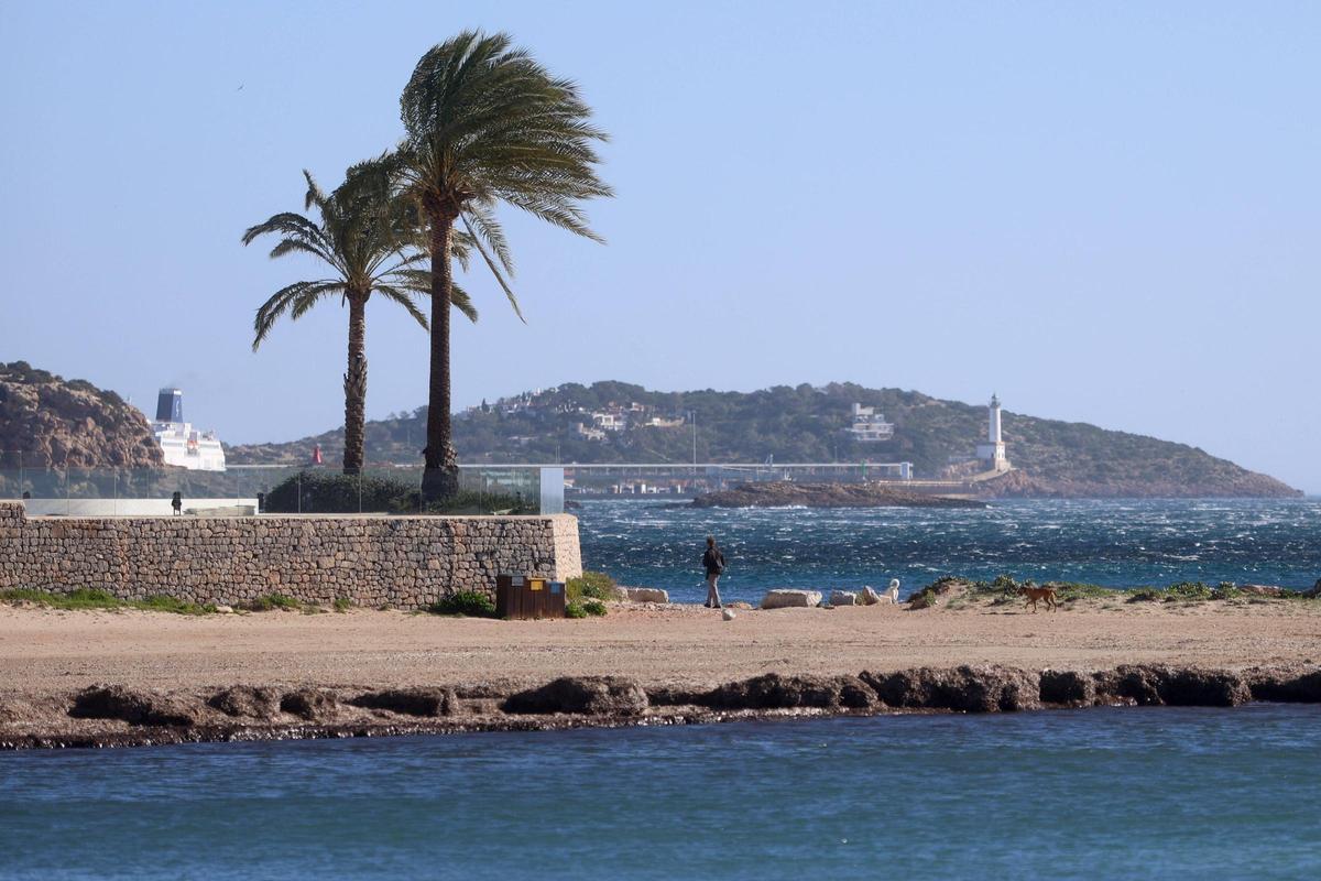 Temporal de viento en Platja d'en Bossa.