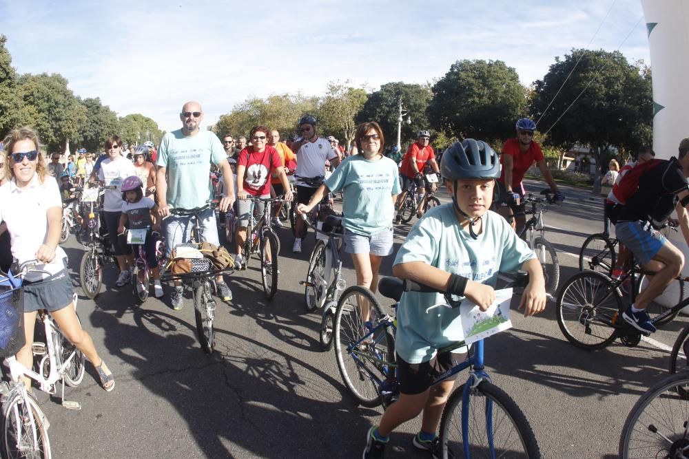 XX Día de la Bicicleta en Valencia