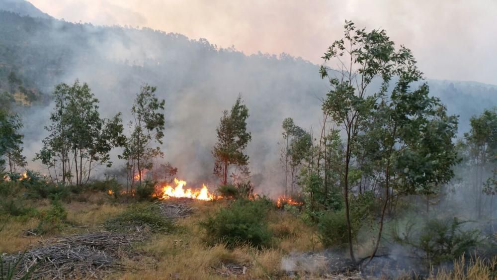 Incendios en Galicia | El fuego de Porto do Son arrasa el monte de A Curota