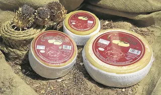 Cremositos del Zújar, Mejor Queso de España 2019