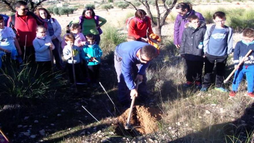 Un grupo de sesenta personas participaron ayer en la reforestación en la Sierra del Buey.