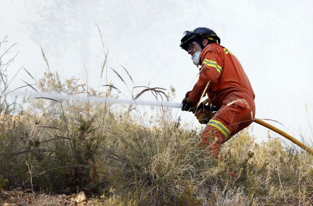 Incendio forestal en Carcaixent