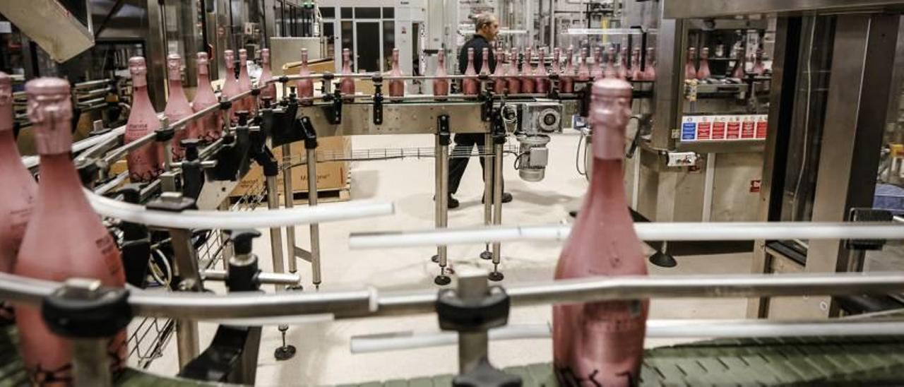 Los vinos alicantinos están dando pasos de gigante para posicionarse en primera línea de mercado. En la imagen superior, la planta embotelladora de Bocopa.