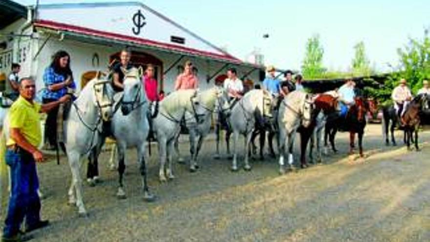 Unos 50 jinetes cabalgan en dirección a Guadalupe