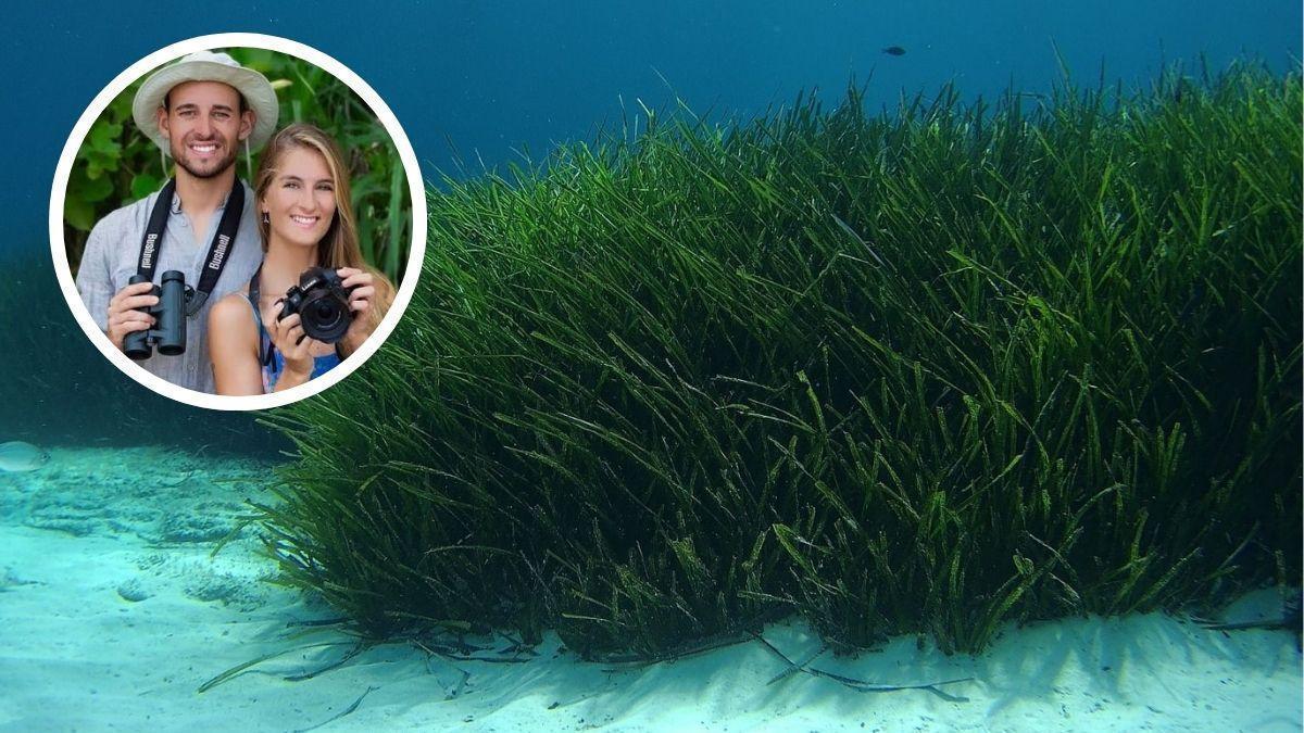 Denuncian fondeos ilegales sobre posidonia y embarcaciones a gran velocidad en la costa de Alicante: "Saben que no pueden anclar ahí".