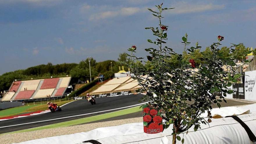 Un rosal, en la curva donde Luis perdió la vida, recuerda al piloto.