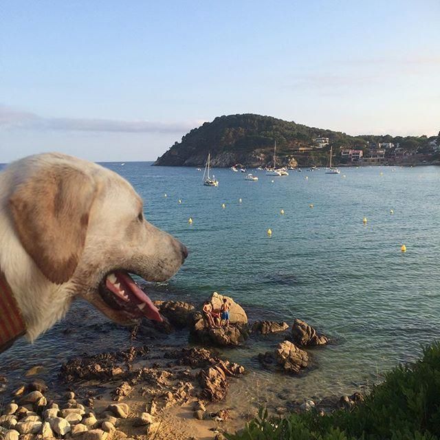 Les millors imatges de la Costa Brava dels nostres lectors