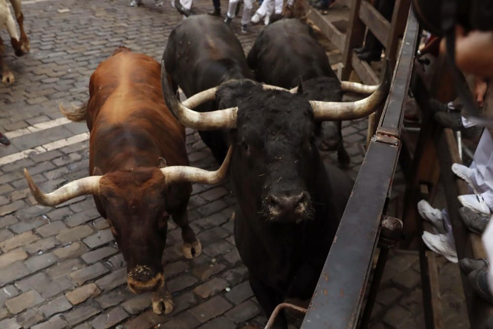 Octavo encierro de Sanfermines