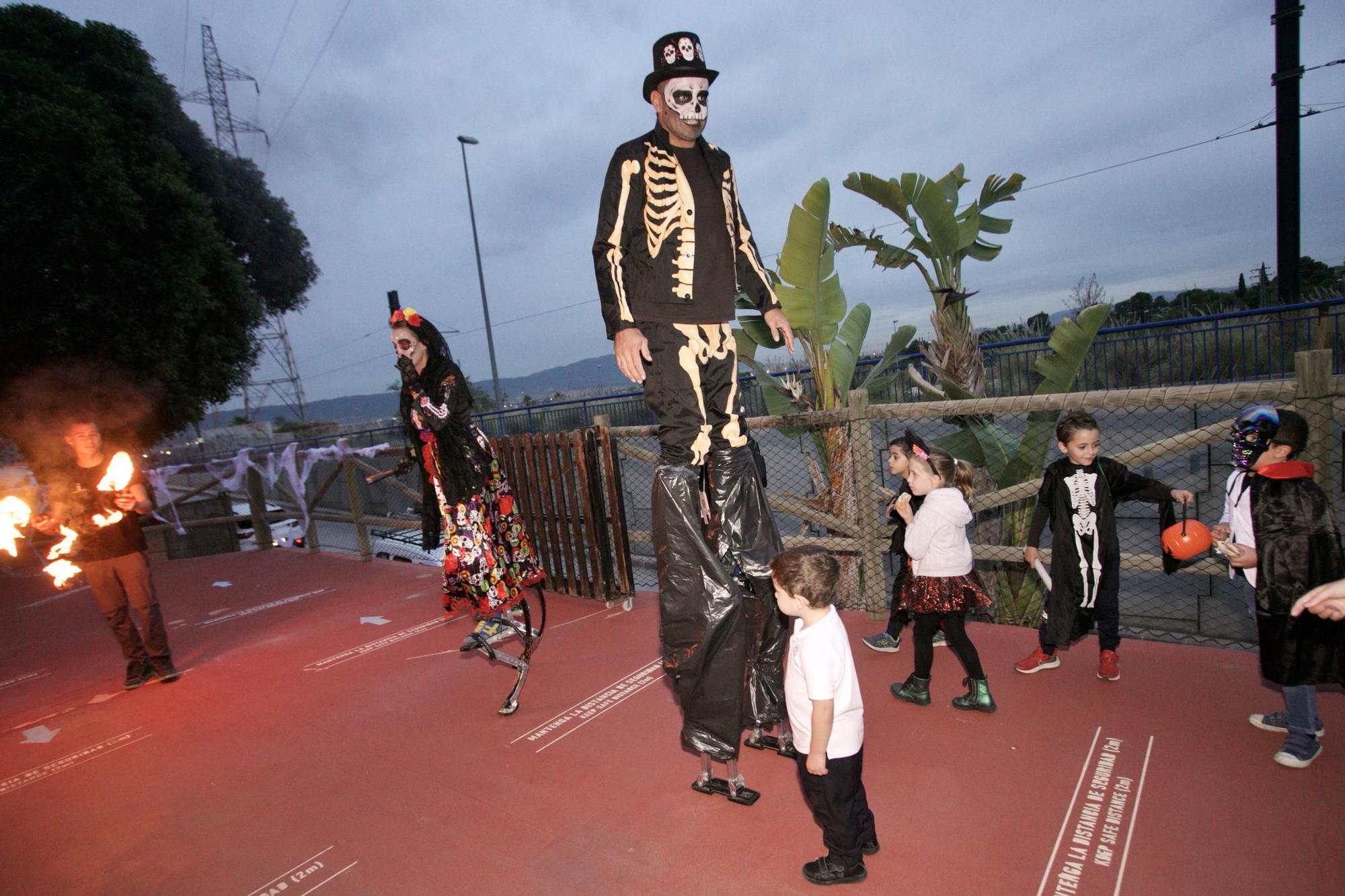 Terra Natura celebra Halloween con un safari nocturno