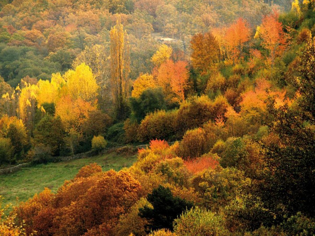 Sierras de Béjar y Francia