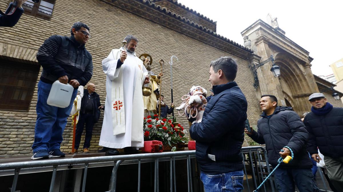 Zaragoza celebra una multitudinaria bendición de San Antón