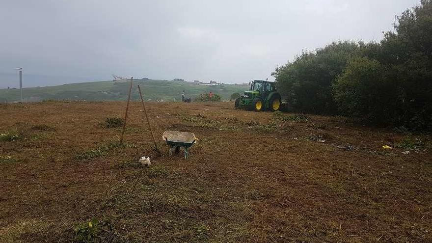 Labores de desbroce en los terrenos de La Providencia próximos al campo de fútbol Ángel Rey, utilizado por algunas personas para mantener relaciones sexuales al aire libre.