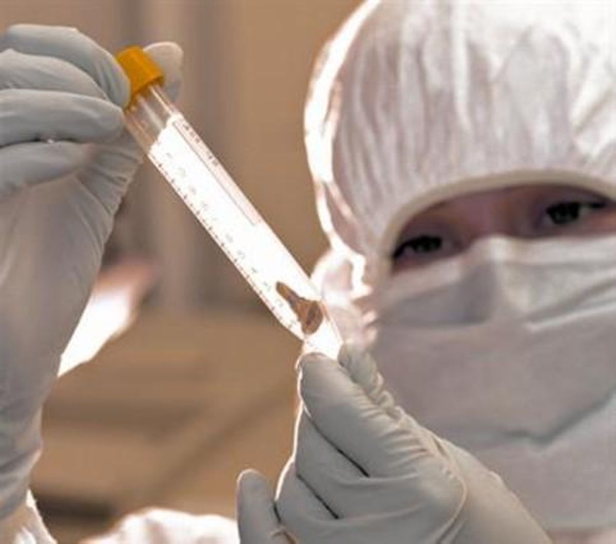 La investigadora Jennifer Klunk, de la Universitat McMaster, amb una dent del segle VI utilitzada en l’estudi. La investigadora Jennifer Klunk, de la Universitat McMaster, amb una dent del segle VI utilitzada en l’estudi.