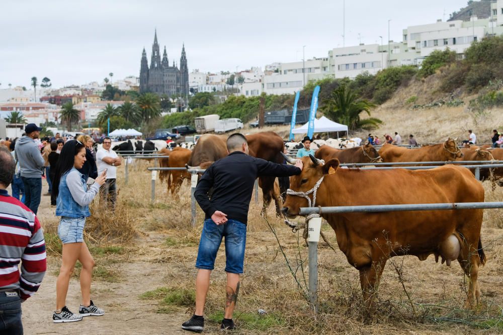 23.06.18. ARUCAS. FIESTAS SAN JUAN ARUCAS, FERIA ...