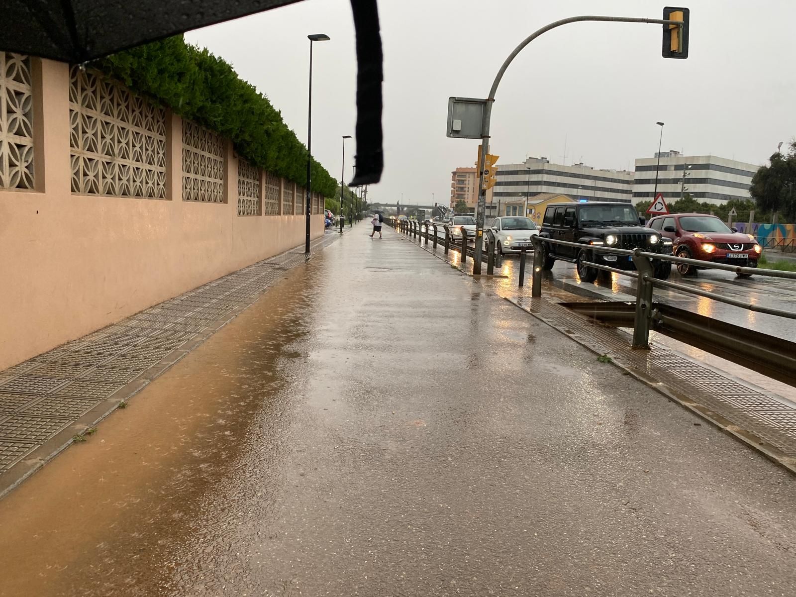 La avenida de la Paz a las 16 horas.