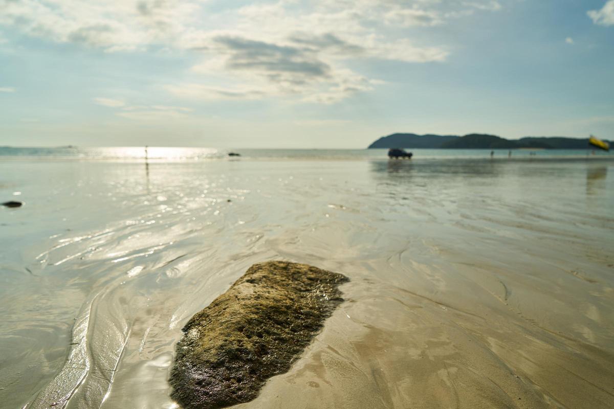 shore beach with rocks