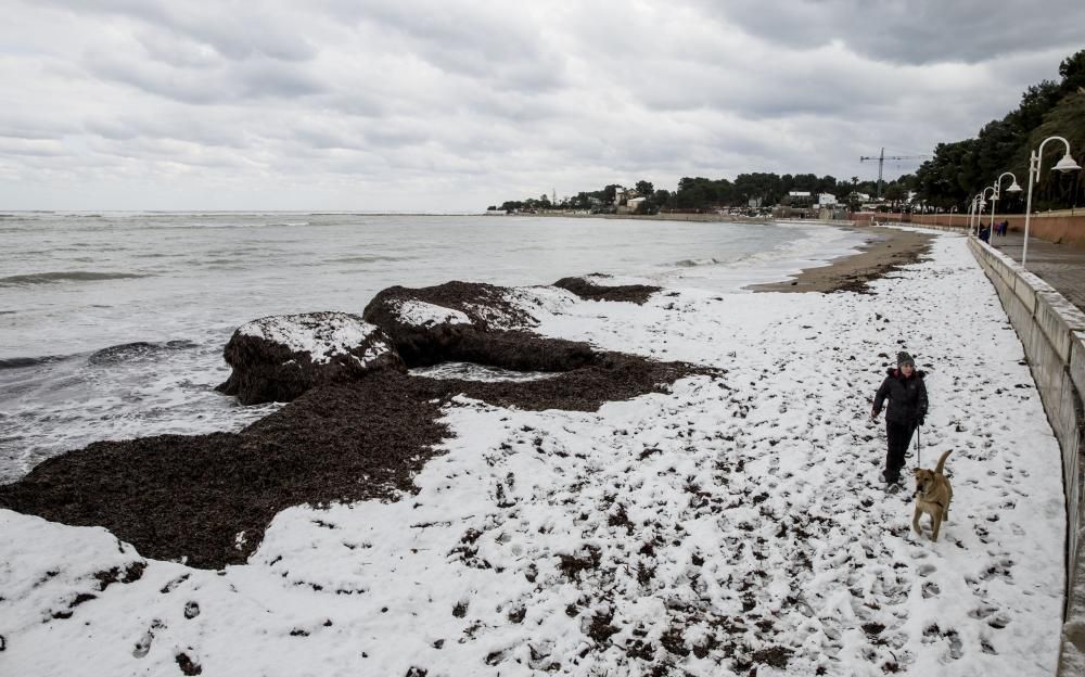 Una inusual ola de frío y nieve asoló la Comunidad a mediados de enero. Vehículos atrapados, poblaciones aisladas, torres eléctricas abatidas. La tormenta nos dejó innumerables estampas difíciles de repetir. Entre ellas la de las playas de la soleada Denia cubiertas de un manto blanco.