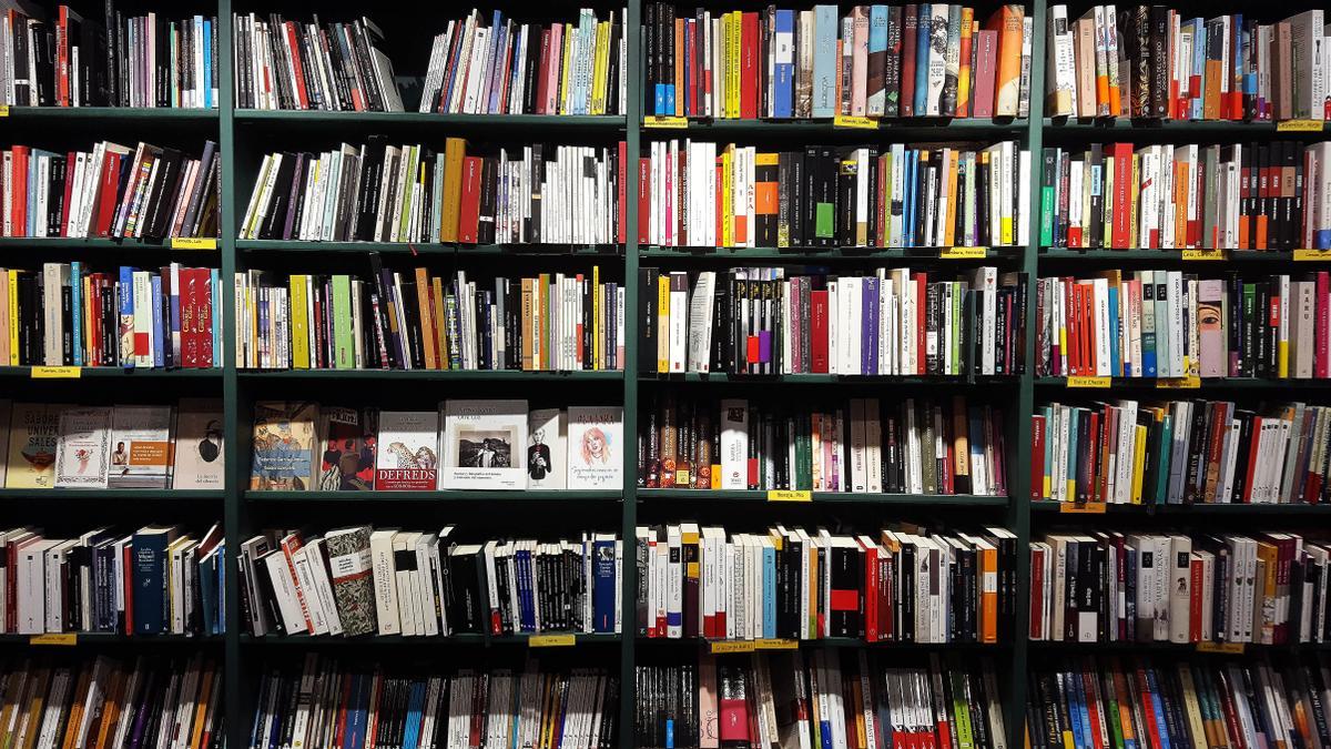 La estantería de una librería, repleta de libros