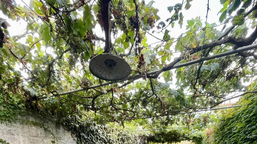 Un gallinero reconvertido en galería de arte en el centro de Bueu