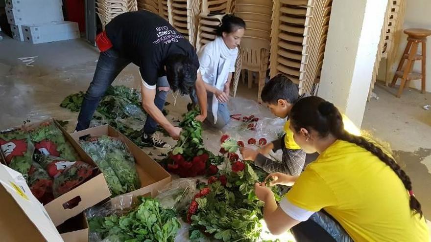 Jornadas de Puertas Abiertas en el Palacio de Viana con motivo del Festival Flora