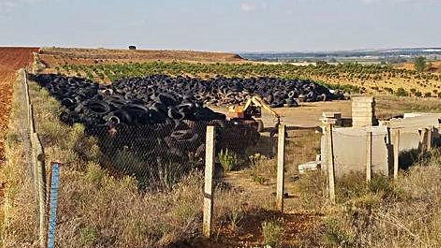 Neumáticos al aire libre en el término de San Cristóbal. A. G.