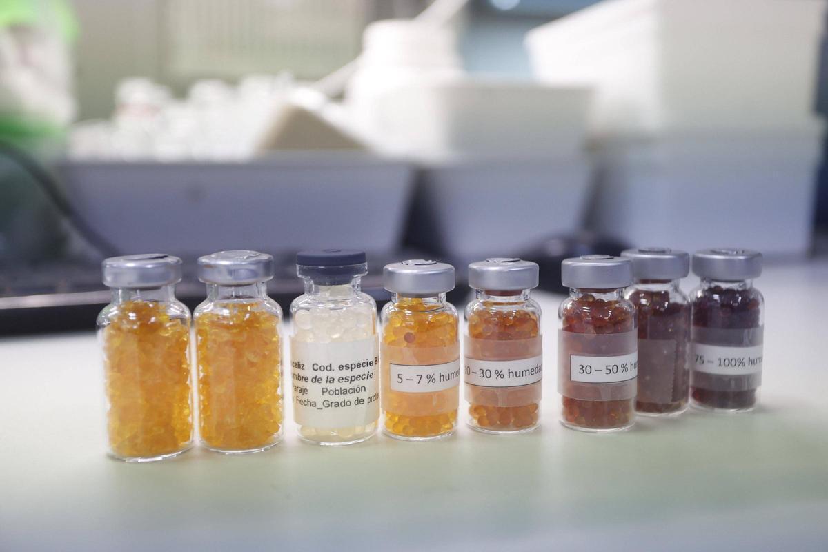 Muestras de silica gel en la que el color varía según aumenta, de izquierda a derecha, la cantidad de humedad absorbida.