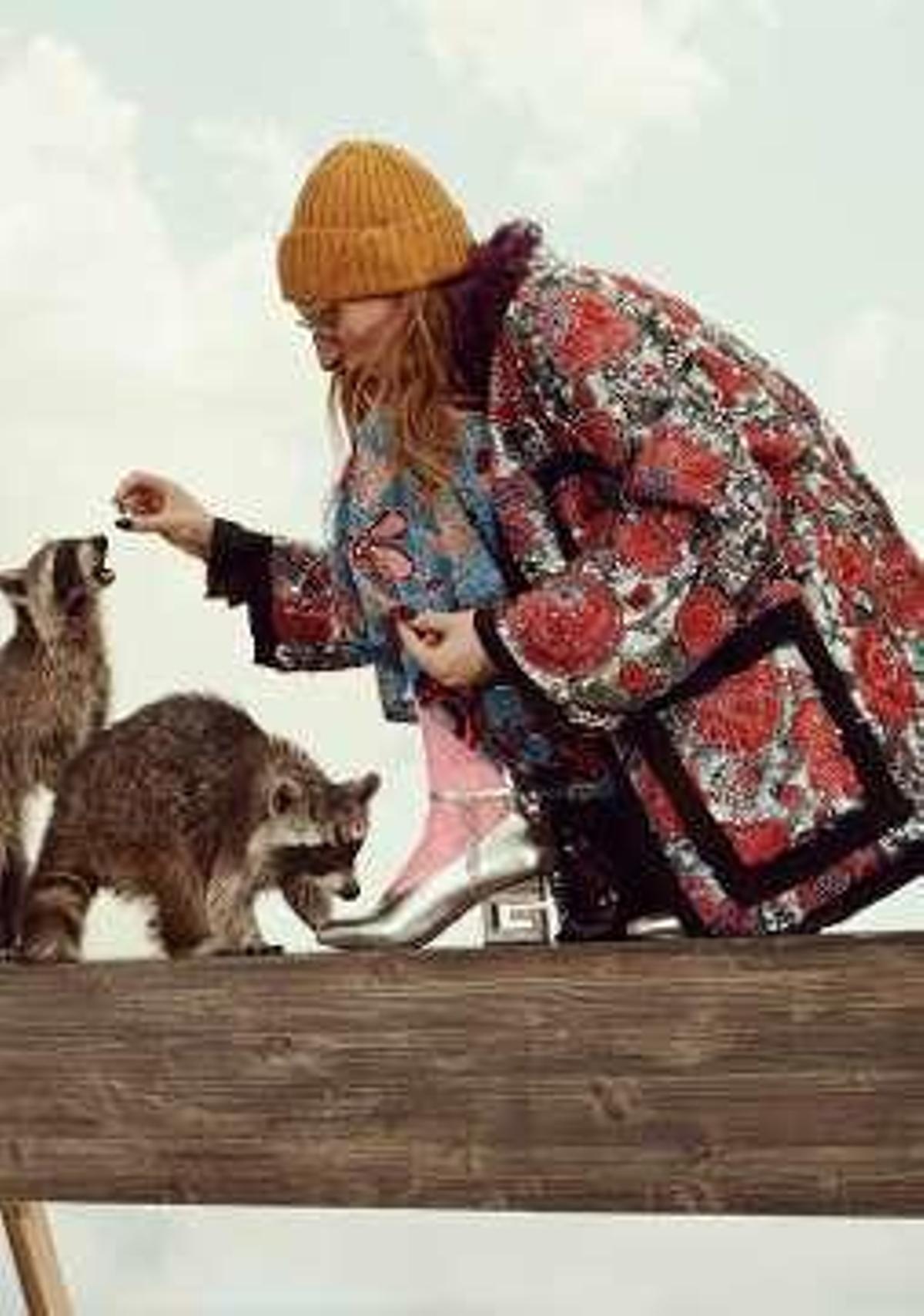 Moda en el arca de Noé