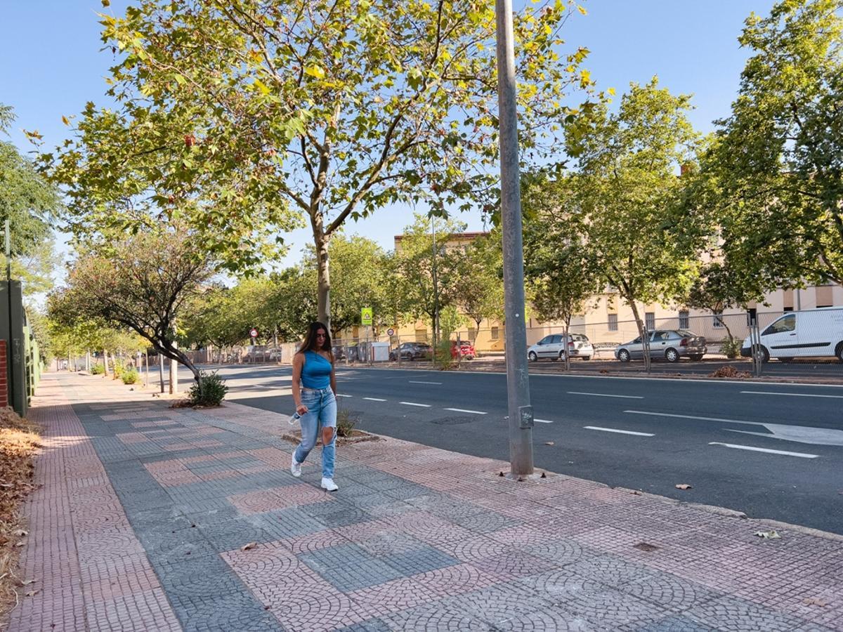 Avenida de Cervantes de Cáceres.
