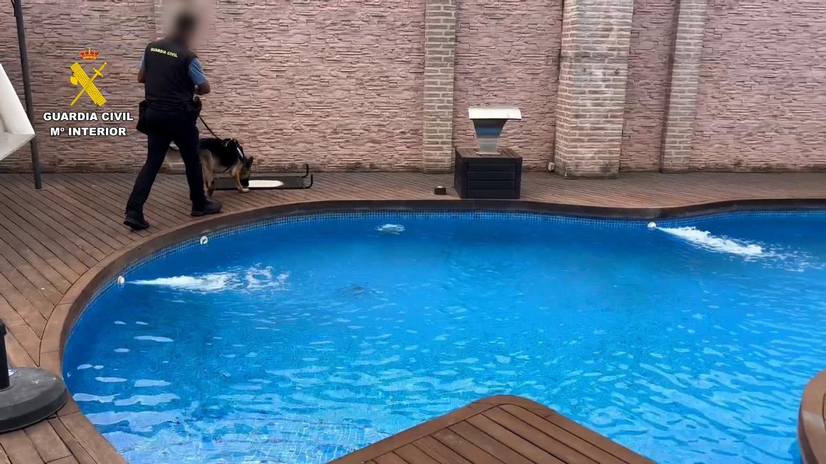 Imagen de una piscina en una de las viviendas del detenido.