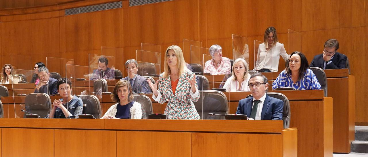 Mar Vaquero ha abierto el turno de preguntas en la sesión de control al Gobierno en las Cortes.