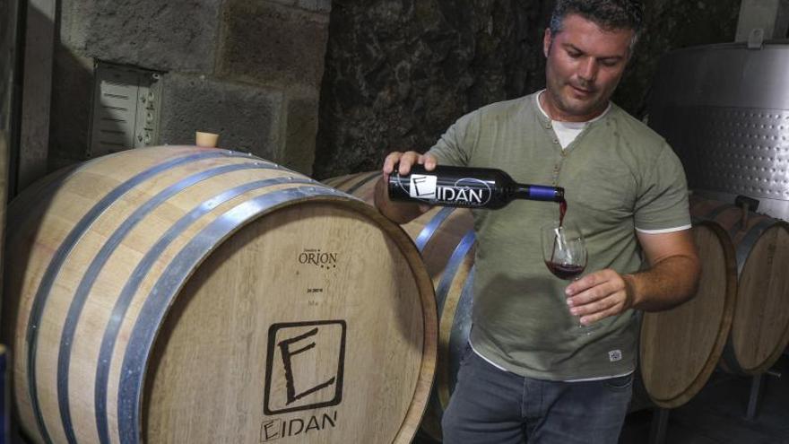 Así es uno de los vinos de Gran Canaria reconocido internacionalmente