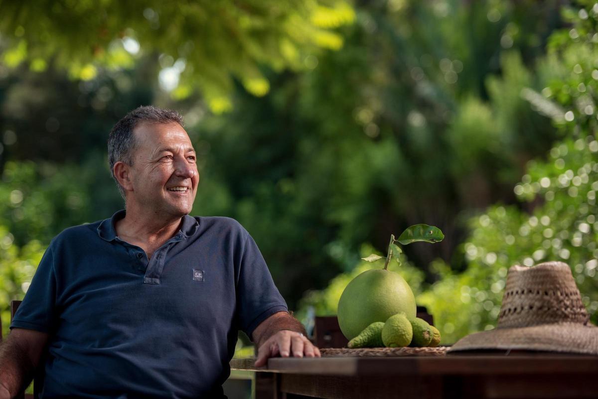 Vicent Todolí elabora el aceite "Tot Oli" con las aceitunas de sus olivos de la Vall de Gallinera