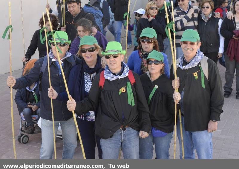 GALERÍA DE FOTOS - Romería Magdalena 2014 (6)