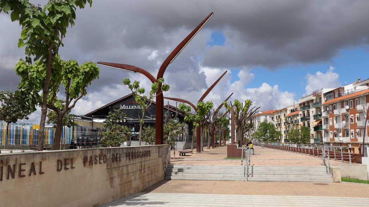 Paseo lineal en el que se han plantado algunos de los árboles.