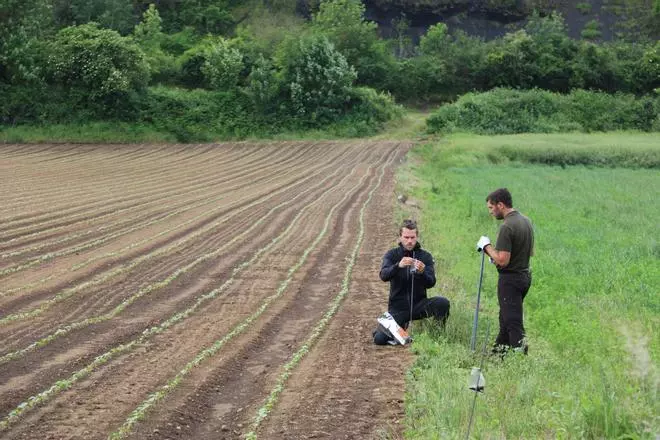 Un nou producte al voltant d'un camp de fesols de Santa Pau per evitar que els cabirols es mengin les plantes