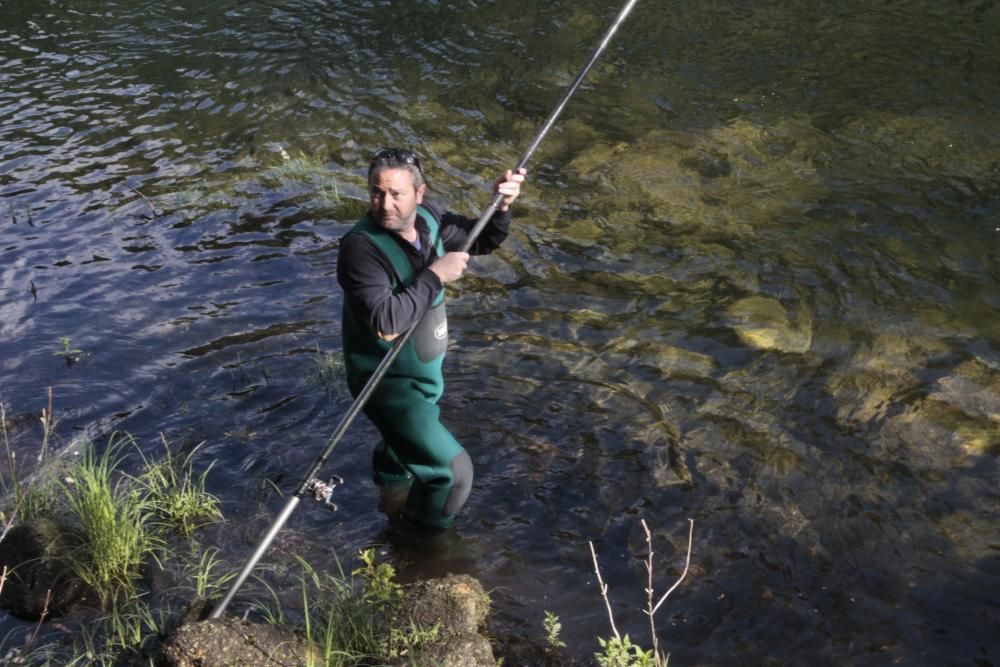 El salmón no pica en el Lérez