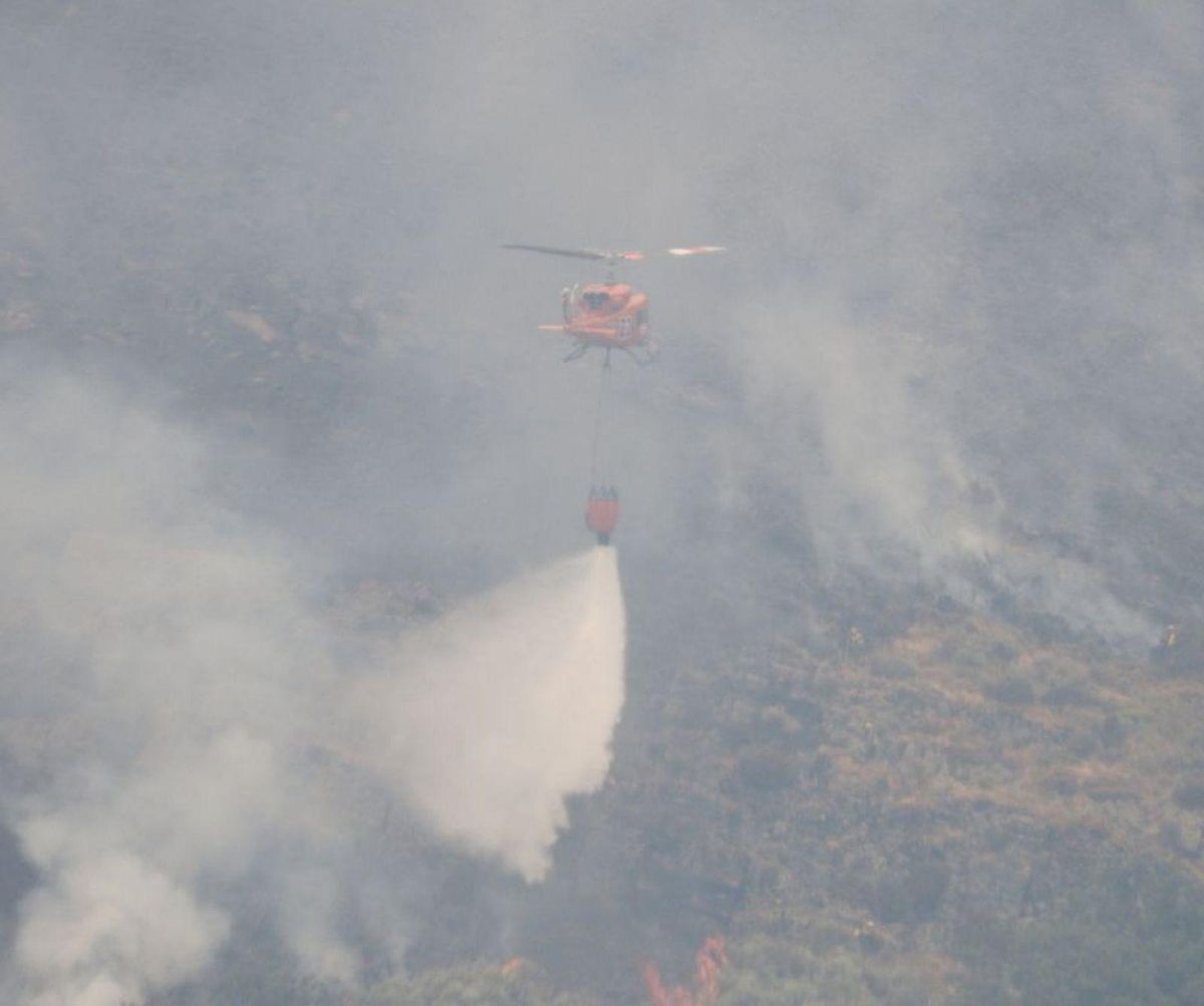 El foc conté la voracitat  però preocupa la fúria del vent