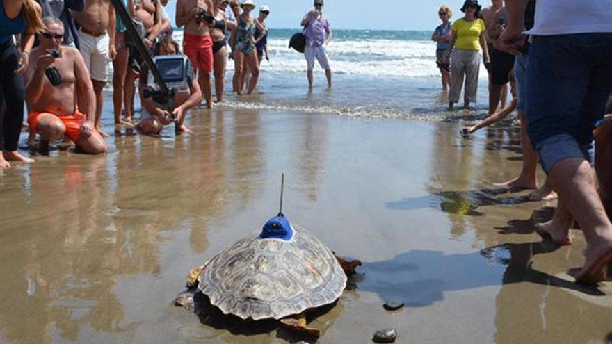 Terry ya nada libre en el Atlántico