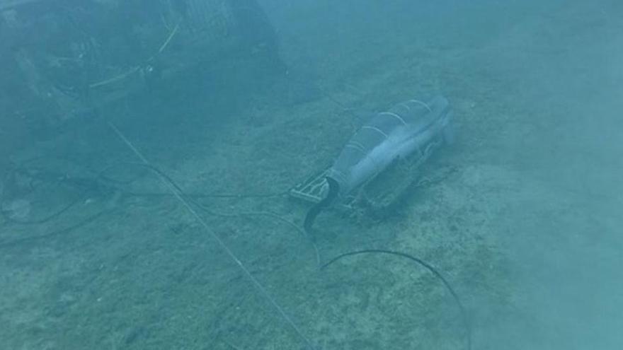 El dofí trobat a Blanes, clau en un estudi del fons marí